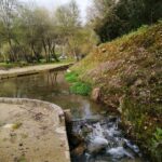 Parque Fluvial das Loureiras